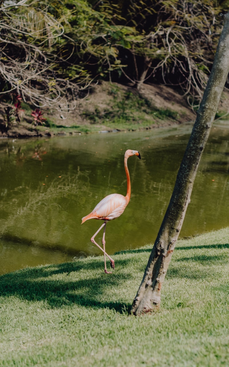 James Hetfield: One of the Most Powerful Voices in the Music Industry