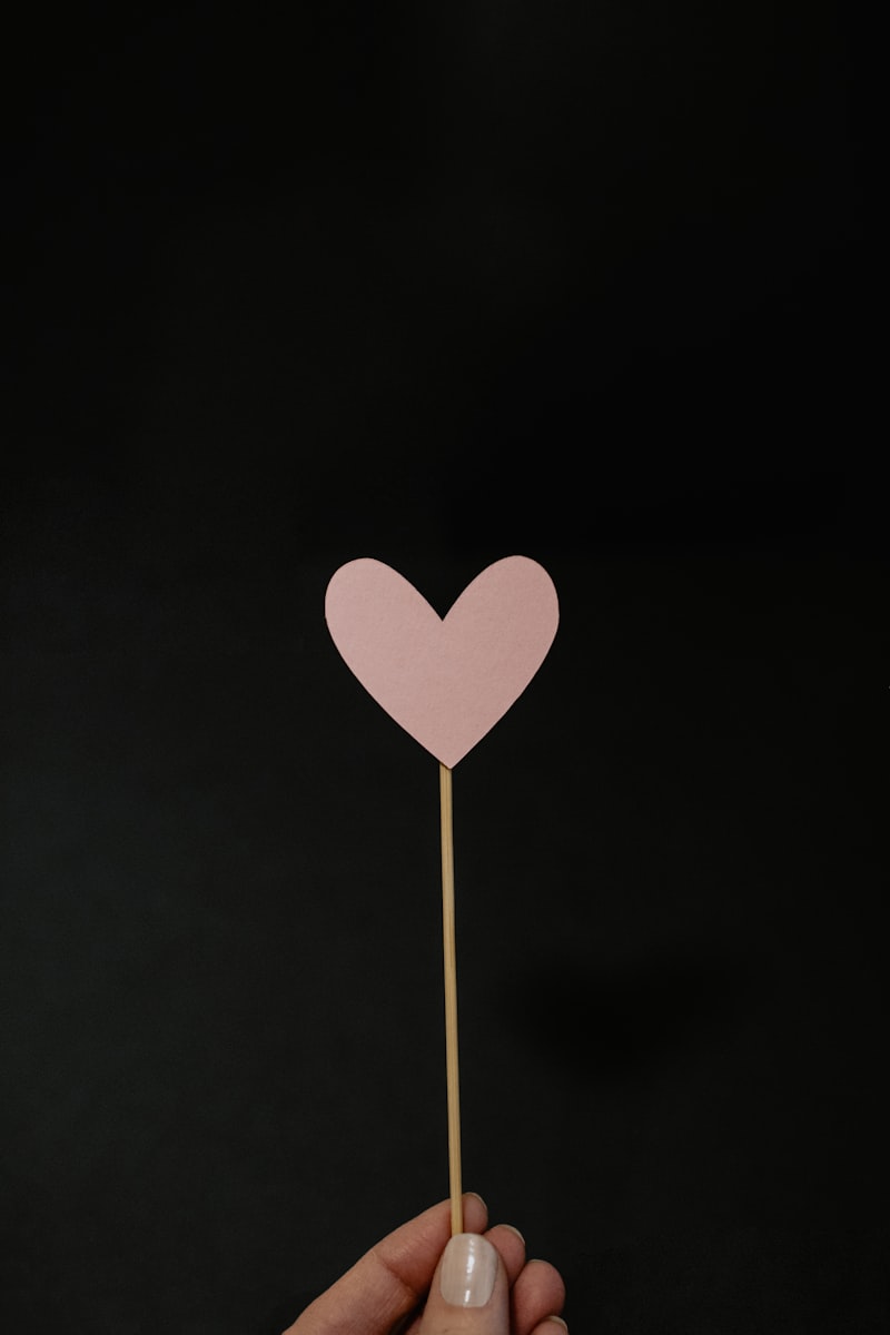 The Heart of Metallica: The Story of James Hetfield The Heart of Metallica: The Story of James Hetfield