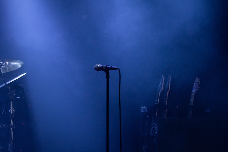 The Nature of Metal Music and Its Effects on Human Psychology